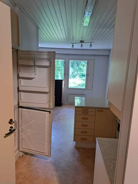 1h + avok + s  Kurikka - valokuva 2