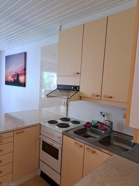 1h + avok + s  Kurikka - valokuva 8