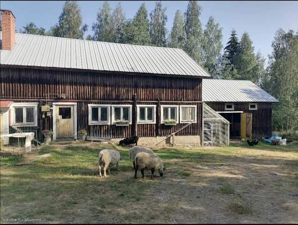 3h  Rautalampi – foto 2