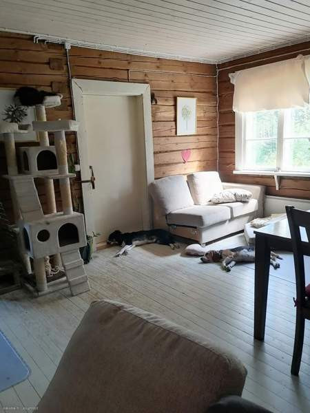 3h  Rautalampi - valokuva 4