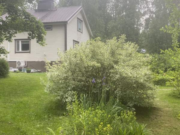 5h + k + s  Kitee - photo 4