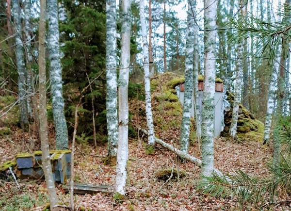 2h  Савонлинна - изображение 3