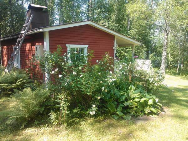 2h+kk  Liperi - photo 1