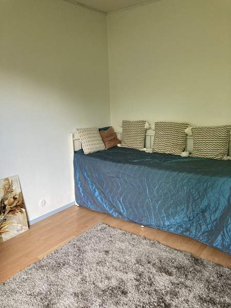 4h + k+ s  Juuka - valokuva 8