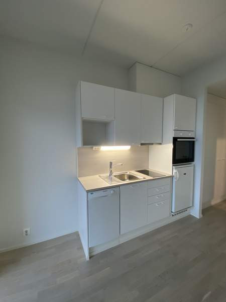 1h + avok + lasitettu parv.  Nurmijaervi – foto 3