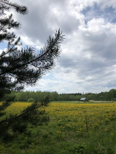 8h  Sysmä - valokuva 1