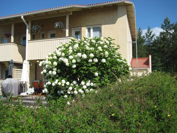 5h +K+ saunat+2WC+ AT varastoineen (40neliö)  Oulu - valokuva 1