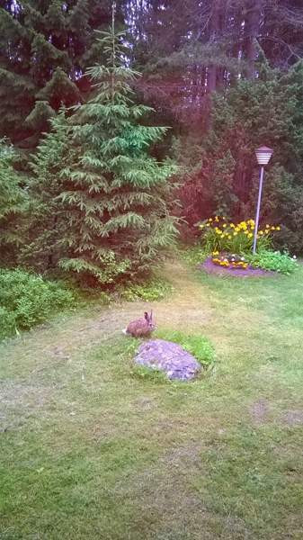 5h +K+ saunat+2WC+ AT varastoineen (40neliö)  Oulu - photo 4