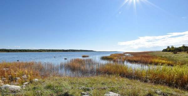 2h, keittiö, psh/wc, sauna  Al Muharraq - photo 4