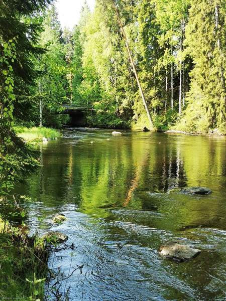 1  Saarijärvi - photo 1