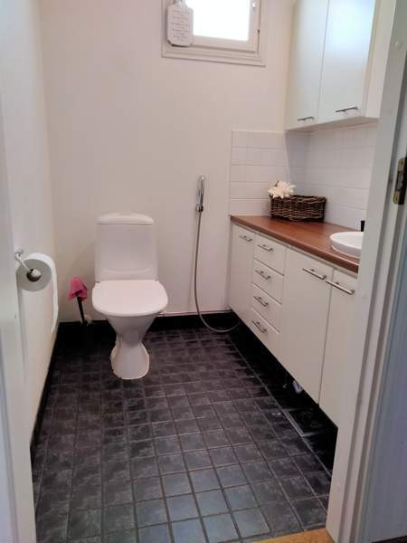 4h + k + s  Kaustinen - valokuva 4