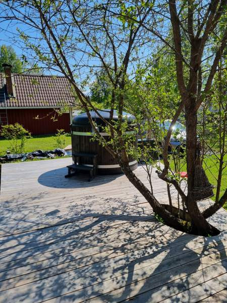 1h  Коккола - изображение 6