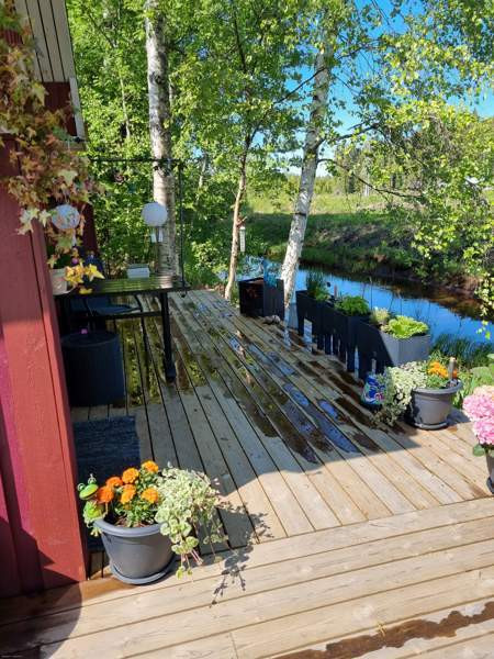 1h  Коккола - изображение 7