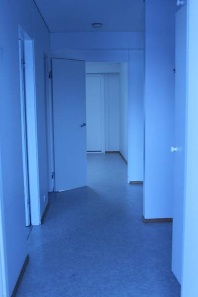 3h + k  Kemin - valokuva 2