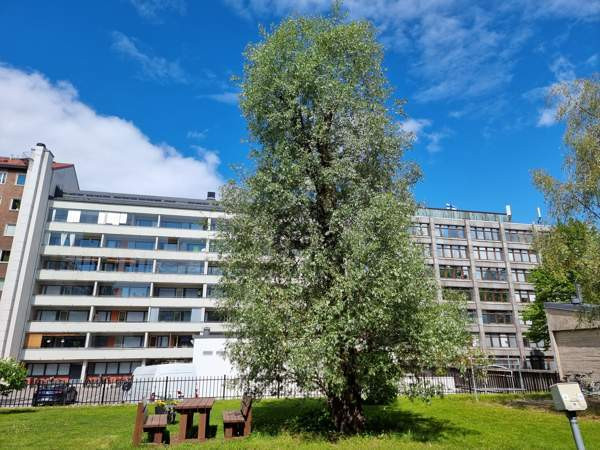 2h + avok + parveke  Helsinki – foto 2
