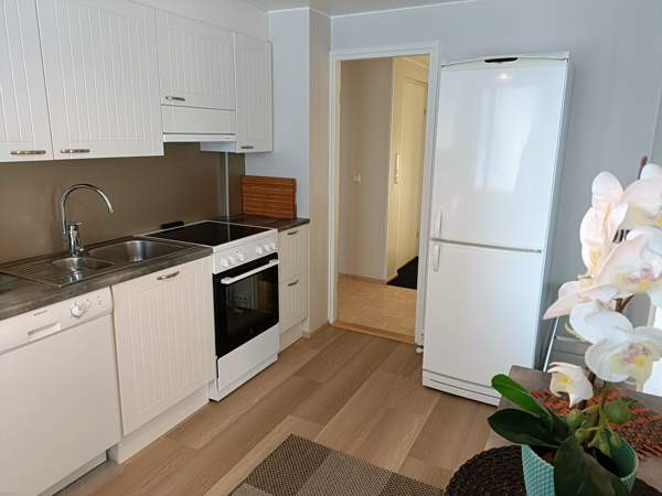 5h + keittiö  Pieksämäki - valokuva 3