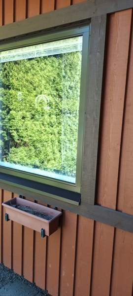 2h + avok + s  Vantaa - valokuva 8