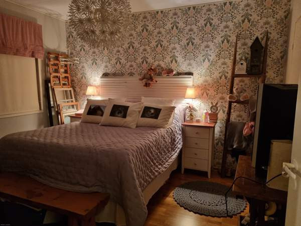 3h+k+s  Luga - photo 3