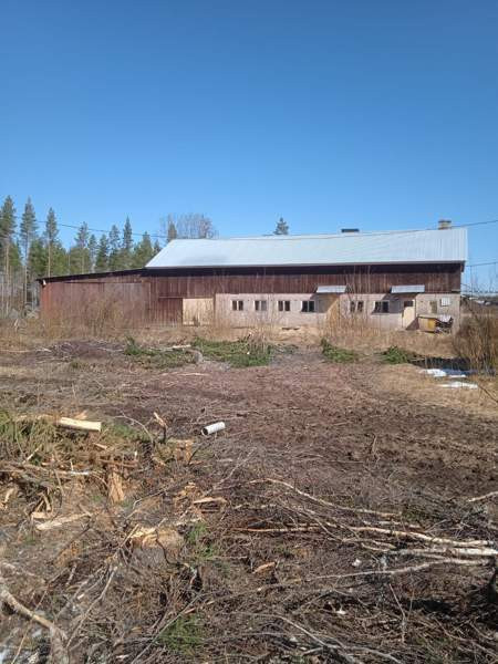 3h  Parkano - photo 5