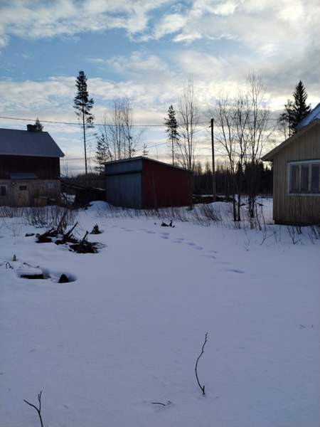 3h  Parkano - photo 2