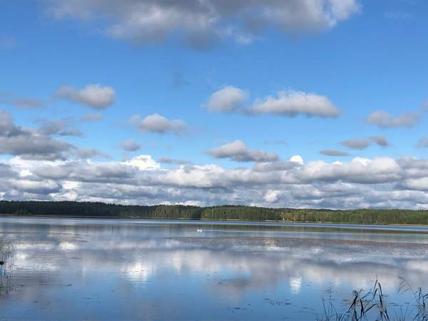 1h + k + eteinen + erillistilat  Rantasalmi - valokuva 1