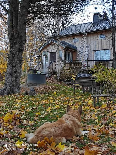 4h+k+suihku+2wc+sauna  Kristiinankaupunki - photo 6