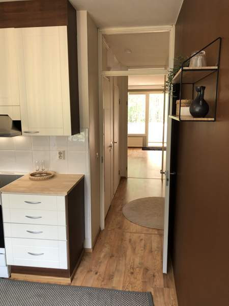 2h + k + lasitettu parveke  Glebychevo - photo 8