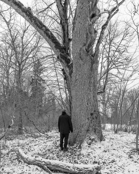 20h  Tallinn - photo 1