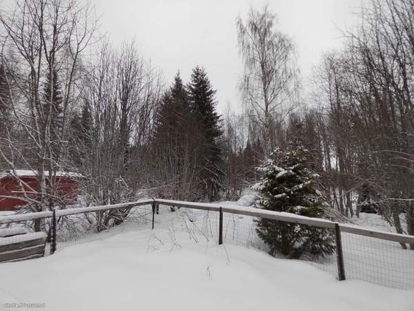 2h + s  Polvijärvi - изображение 4