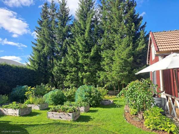 10h + k + 2 x s  Jaemsae - valokuva 8