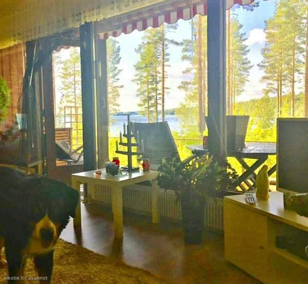 2h + s  Joutsa - valokuva 3