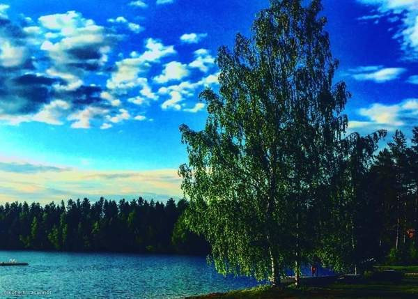 2h + s  Joutsa - valokuva 7