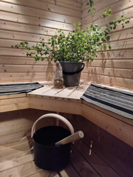 9h + k + 2 kph + s + 3 wc + terassi + erillinen ra  Sonkajärvi - valokuva 7