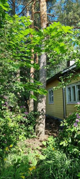 4h  Helsinki - photo 2