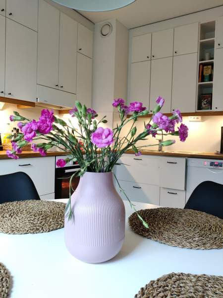 3h + k + p  Kuopio – foto 5