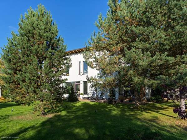 7h + avok + s + p  Imatra – foto 5