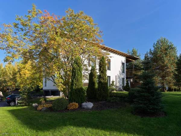 7h + avok + s + p  Imatra – foto 3