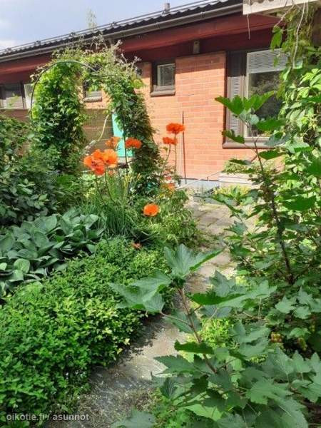 3h + k +vh+s  Apatity – foto 1