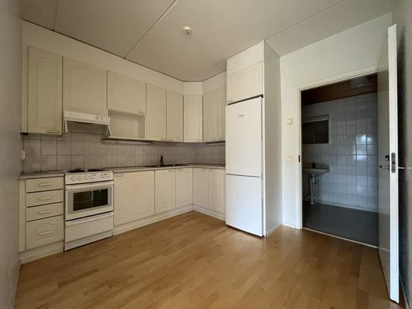 1h + avok + s  Luga – foto 4