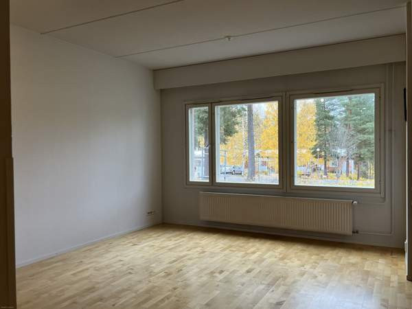 1h + avok + s  Luga – foto 3