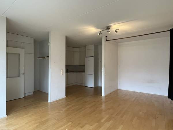 1h + avok + s  Luga – foto 1