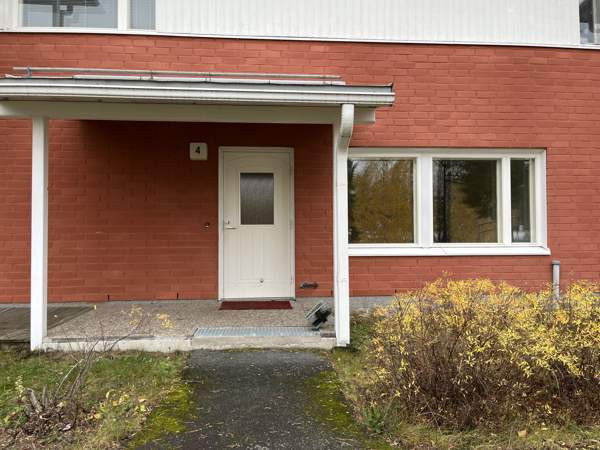 1h + avok + s  Luga – foto 7