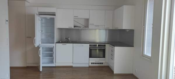 3h + avok, kylpyhuone, vaatehuone, eteinen sekä te  Turtkul – foto 1