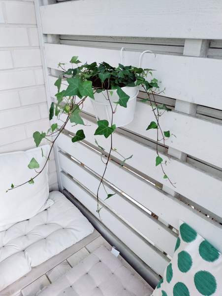 2h + avok + s  Orimattila - photo 8