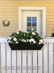 5h + avok + s  Глебычево - изображение 2