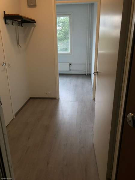 1h + k  Лохья - изображение 5