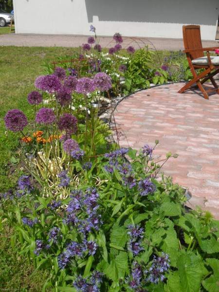 3h + avok + p  Rautjärvi - photo 2