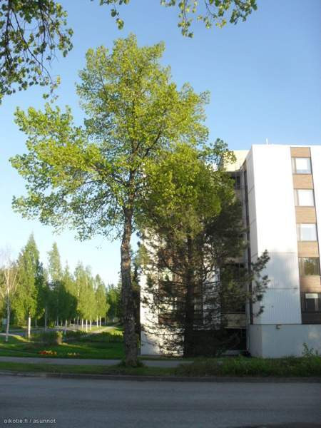 3h + avok + p  Rautjärvi - photo 1