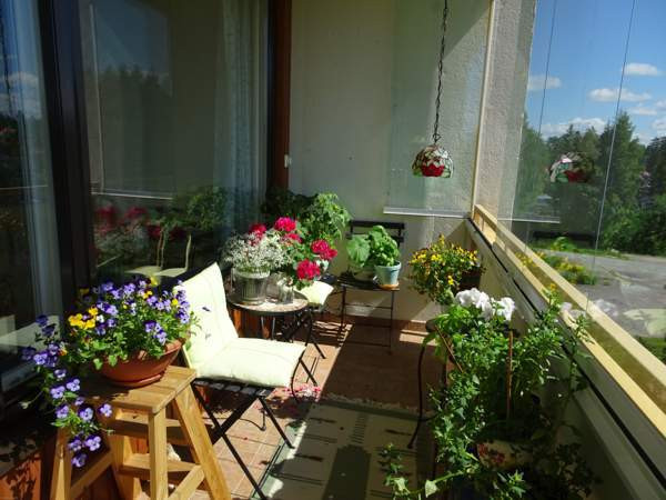 3h + avok + p  Rautjärvi - photo 7