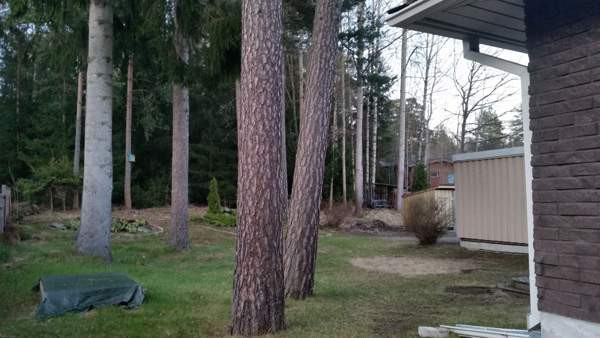 6h + k + kph + sauna + 2x wc + vh + et.  Zaporiz'ka Oblast' - valokuva 7